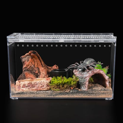 Escape Proof Tarantula Enclosure Hermit Crab Tank Spider Terrarium | Reptile PC Habitat 10.2" x 5.9" x 5.7" Full View for Isopods Bug Insect Frog Gecko - size: M-Only Terrarium
