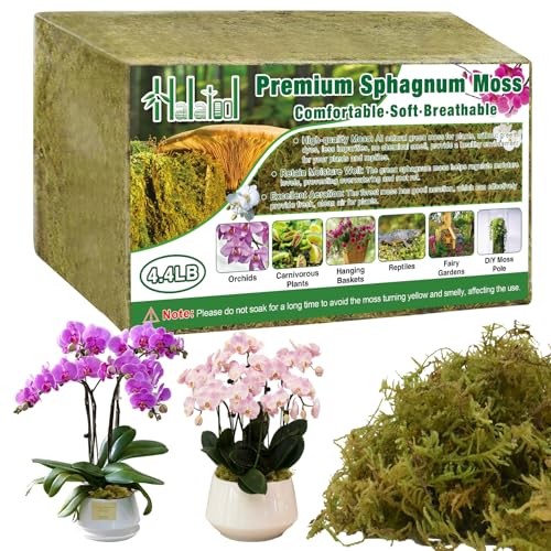 Halatool 4.4 LB Natural Green Forest Moss, Long Fiber Dried Sphagnum Moss | No Dyes, Water Retention & Areation, Dried Orchid Moss for Potted Plants Indoor & Outdoor, Orchids Repotting, Terrariums - size: 4.4 lb