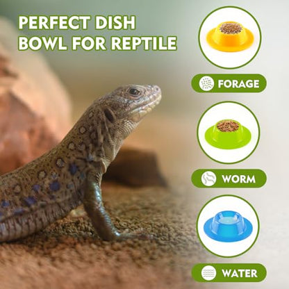 4PCS Gecko Lizard Food Bowls, Small Reptile Food Water Dish Bowl, Silicone Feeding Dish Habitat Accessories for Hermit Crab Bearded Dragon Snake Frog - color: 4PCS Colorful
