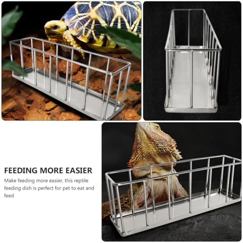 Beaupretty Stainless Steel Reptile Feeder Dish for Tortoise Lizard Small Escape-Proof Pet Food Container Terrarium Bowl Suitable for Bearded Dragon and Gecko Feeding