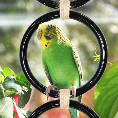 3PCS Snake Climbing Rings,Ball Python Tank Accessory Adjustable Playground Reptiletank Cage Decor Accessories for Bearded Dragon,Chameleon,Iguana,Gecko,Lizard