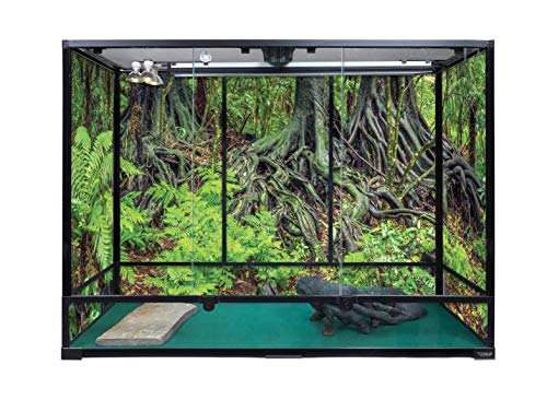 Carolina Custom Cages, 48Lx18Wx36H Extra-Tall Extra-Long Terrarium; Easy Assembly - size: 48Lx18Wx36H