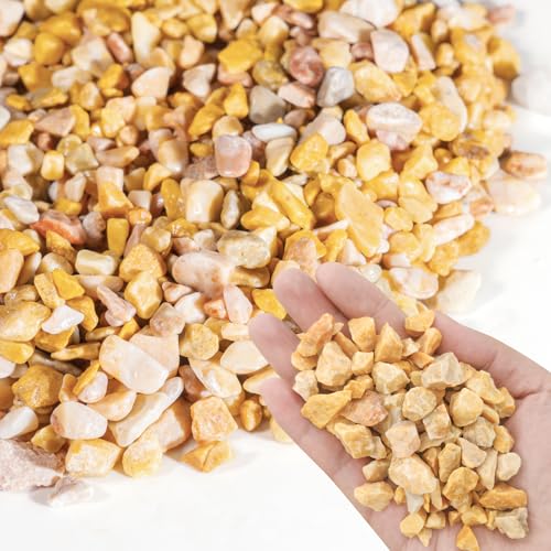 Natural Pea Gravel Pebbles for Plants, Fish Tank Gravel, Small Rocks for Outdoor Landscaping, Terrarium, Fish Tank, Home Decoration (10 Pounds, 1/5-3/5 inch, Yellow)