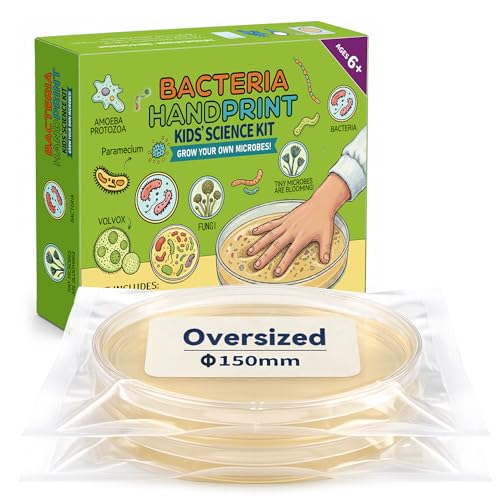 Kids Bacteria Handprint Kit - 2 Giant 150mm Prepoured Agar Petri Dishes | Fun STEM science kit with 2 giant sterile agar plates, magnifying glass & swabs for kids' handprint experiments. - color: Kids Bacteria Handprint Kit