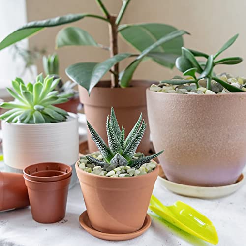 5LB Succulent and Cactus Pebbles, 1/5 Inch Jade Rocks | Natural Decorative Polished Stones, River Rocks for Plants, Vases and Outdoor Gardening,Green - color: Jade, size: 5 Pounds