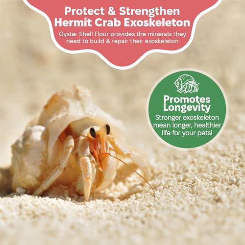 Oyster Shell Supplement for Hermit Crabs – Natural Calcium Source for Molting Support – Auto Feeder Compatible – USA-Sourced Crushed Shell Powder for Stronger Exoskeletons and Shell Health