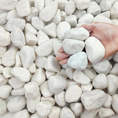 FANTIAN 10 lbs White Gravel for Aquarium, 2-3 Inch Large Pebbles for Planters, Decorative River Rocks for Plants Indoor, Landscaping, Vases, Fish Tank, Crafting and Garden - color: White, size: 10 lbs, 2-3 Inch