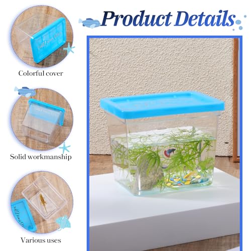 30 Pack 12 oz Plastic Fish Bowls with Lids Plastic Reptile Terrariums Carrier Cage Hatching Container Rectangle Gold Fish Bowls Transparent Turtle Aquarium for Adults Centerpieces Party Decoration