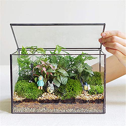 Glass Plant Terrarium with Lid, Rectangular Black Metal Frame Box for Indoor Plants, Clear Glass Container for Moss, Succulent, Fairy Garden, Tabletop Decor DIY Gift, 8.3”L x 4.7”W x 5.5”H - size: Large Rectangle