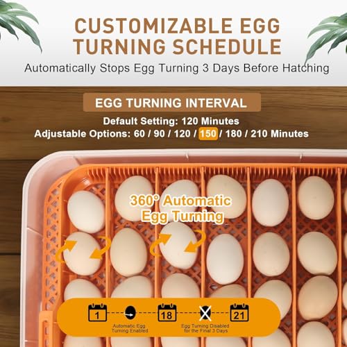Nest IV - 56 Egg Incubator for Breeders, Fully Automated, Accurate Humidity & Temp Control, Chick Separator, Flexible Egg Spacing, Custom Incubation Days, Auto Turning & Auto Stop, Easy Monitoring - size: 56 Egg [Gray]