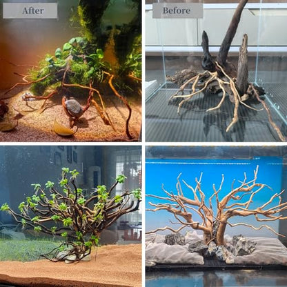 emours Natural Aquarium Driftwood, [170g] (20–40 cm /8–16 in) - Unique Root/Spider Wood Branches for Aquascaping, Planted Tanks & Terrariums, Fish & Plants Decoration, Each Piece One-of-a-Kind(Mixed) - style: Mixed