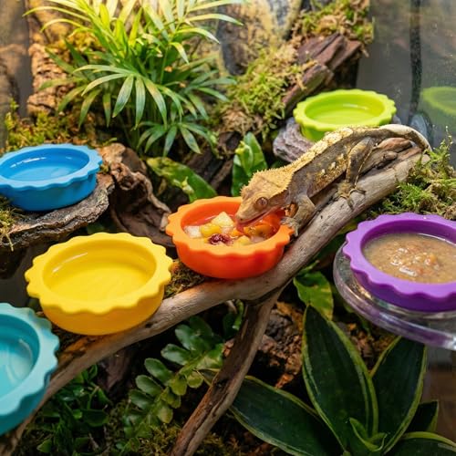 15 Pack Crested Gecko Food and Water Bowl, Eudimysx Reusable Small Reptile Feeding Dish, Gecko Tank Accessories for Hermit Crab, Tarantula, Isopods, Snails and Lizard, Silicone Easy Clean & 7 Colors - color: 15Pack