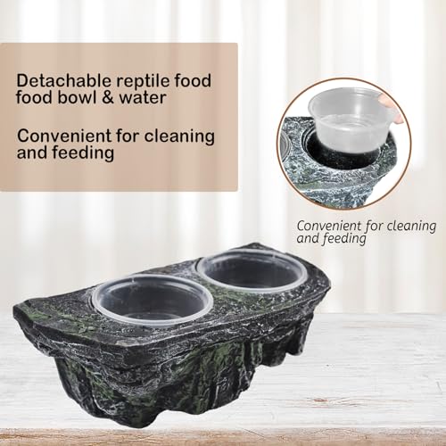 kathson Magnetic Reptile Feeder Ledge,Double Bowl Magnetic Lizard Food and Water Dish Crested Gecko Feeding Bowls with Suction Cup Reptile Food Bowl Accessories for Chameleon Spider