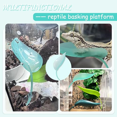 Tree Frog Terrarium Accessories, 3PCS Turtle Basking Platform | Aquarium decor with 3 suction cups, multifunctional reptile tank accessories for leopard gecko, snake, gecko, bearded dragon - color: Light Blue