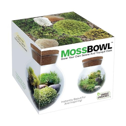 Create Your Serene Moss Sanctuary with The Unique Gardener Moss Bowl Terrarium Kit with LED Light - Complete Terrarium Supplies, Indoor Plants for Stress Relief & Air Purification!