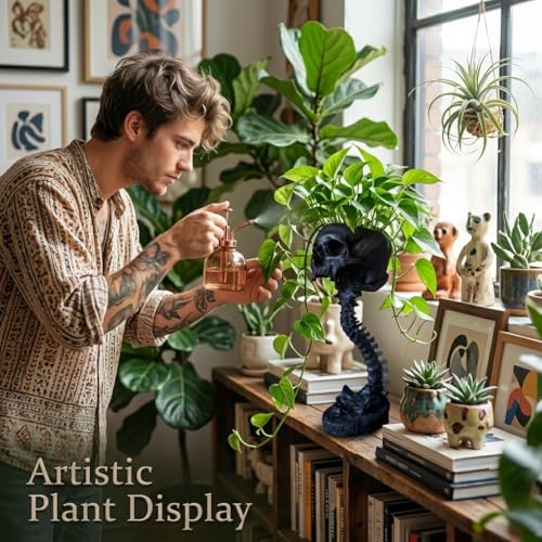 Resin Air Plant Holders,Tilandsia Container,Gothic Skeleton Planter,Halloween Plant Pot,Tillandsia Pot, Skull Table Top Display Planters for Air Plants and Other (11.6 * 5.7'',Black) - size: 11.6 * 5.7'',Black