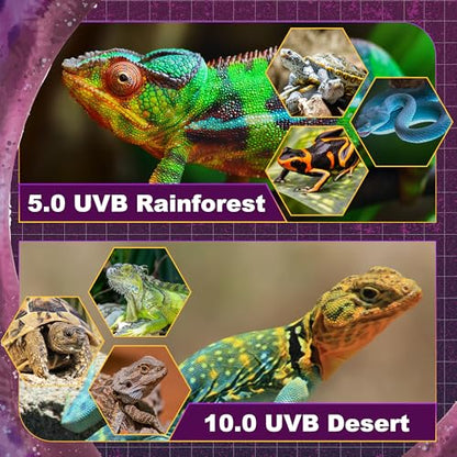 T5 HO UVB Lighting Combo Kit, Reptile Light Fixture, 8W 5.0 UVB | Fluorescent Light Bulb, Tropical Light for Reptile and Amphibian, Basking Light for Bearded Dragon, High Output Natural Light - style: 8.00 Watts