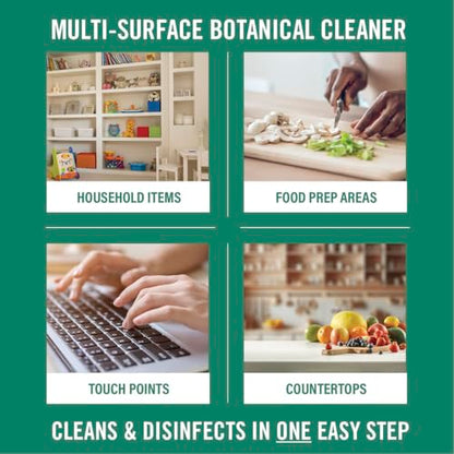 Benefect Botanical Decon 30 Disinfectant Cleaner, 14 oz. Ready-To-Use Spray, Hospital Grade Disinfectant, Kills Over 99.99% of Germs, Safe for Food-Contact Surfaces (Light Lemon & Thyme Scent) - size: 14 Fl Oz (Pack of 1)