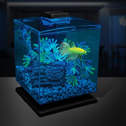 GloFish Aquarium Gravel, Pearlescent, Complements Tanks and Décor (AQ-78484), 5 Pounds (Pack of 2) - size: 5 Pound (Pack of 2)