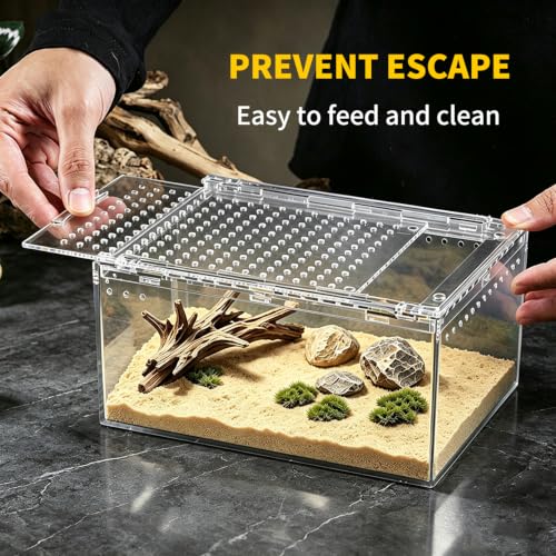 Reptile Growth Small Reptile Terrarium,Tarantula Enclosure with Magnetic Button, 8"x 6" x4" Lizard Enclosure,Reptile Breeding Tank,Spider Starter Cage,Frog Container. - size: 8" * 6" * 4"