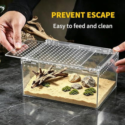 Reptile Growth Small Reptile Terrarium,Tarantula Enclosure with Magnetic Button, 8"x 6" x4" Lizard Enclosure,Reptile Breeding Tank,Spider Starter Cage,Frog Container. - size: 8" * 6" * 4"