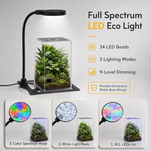 Jumping Spider Enclosure LED Light, 360 Degree Full Spectrum Reptile Enclosure Lights, Jumping Spider Enclosure Accessories for Potted Plants Succulents Miniature Landscape. (Black) - color: Black