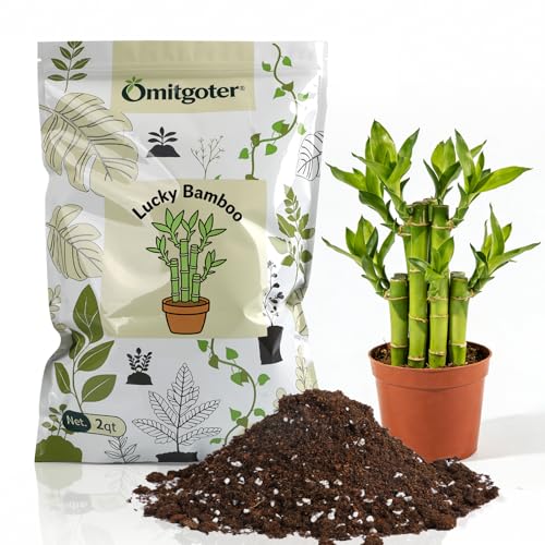 Pure Natural Potting Soil for Lucky Bamboo Plants 1qt - Superior Drainage & Breathability, Ideal Indoor Plant Soil - color: LuckyBambooSoil, size: 1QT