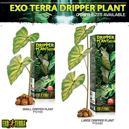Exo Terra Dripper Plant, Large - size: Large