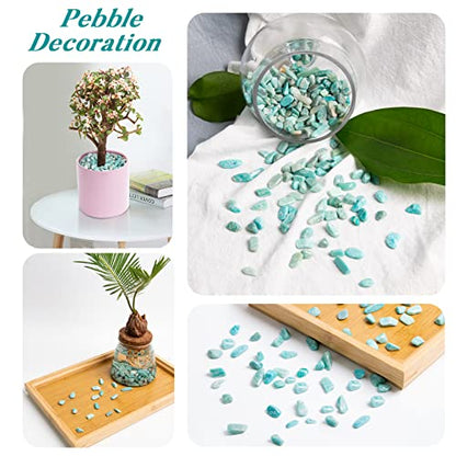 QICQDRAM Green Amazonite Crystals Bulk Tumbled Chips Stone Natural 1LB | Small Tumbled Stones Crystal Chips Bulk for Healing Crystals Fish Tank Gravel Vase Filler (405g/14.28oz) - color: Amazonite