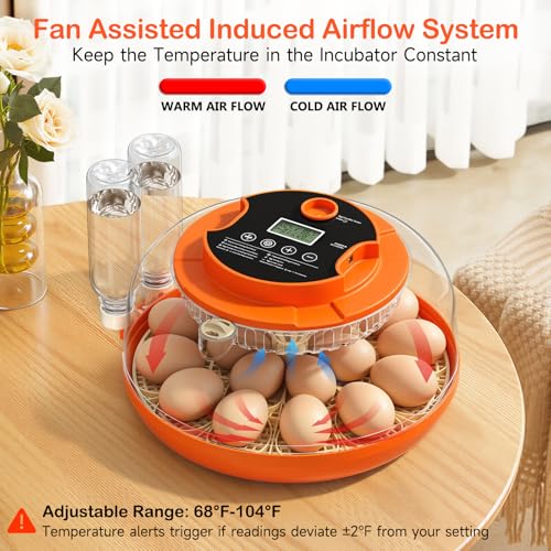 18 Egg Incubators for Hatching Eggs, Automatic Egg Turning and Humidity Control Incubator for Hatch Chicken Duck Quail Pigeon Pheasant Partridge Home Classroom Lab- - size: 18H