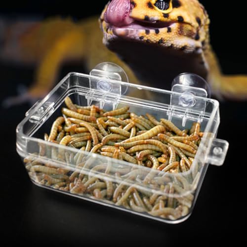 Reptile Pet Feeder Escape-Proof Feeding Box with Suction Cup, Large Multi-Function Reusable Food Bowl for Lizards and Small Exotic Pets