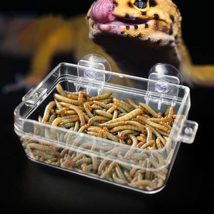Reptile Pet Feeder Escape-Proof Feeding Box with Suction Cup, Large Multi-Function Reusable Food Bowl for Lizards and Small Exotic Pets