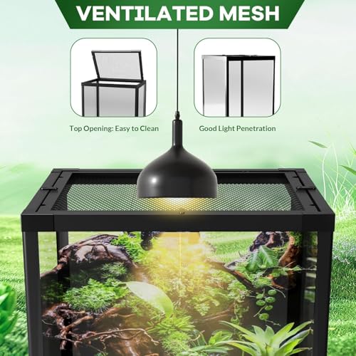 34 Gallon Reptile Tall Glass Terrarium 24" x 18" x 28" - Anti-Escape Design, Dual-Climate Water-Tight Base for Easy Maintenance,Reptile Enclosure with Top Screen Ventilation - size: 34 Gallon-T