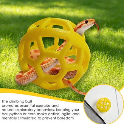 Snake Reptile Enrichment Ball & Hammock Combo, Durable Climbing Gym with Secure Chain - Fun Exercise & Resting Toy for Small Pet Snakes Including Pythons & Iguanas, Anoles, Geckos, Snakes, Chameleon