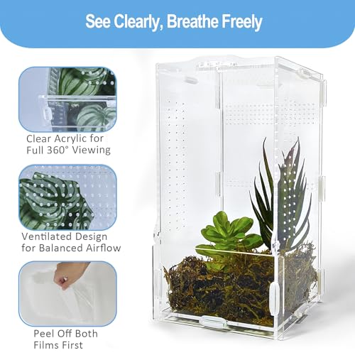 Jumping Spider Enclosure, Arboreal Tarantula Enclosure, Praying Mantis Terrarium Critter Cage for Jumping Spider, Tarantula Slings, Snail, Isopods, Beetles, Millipedes, Springtails - size: Small