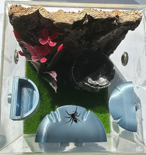 2 Pack Jumping Spider Accessories Mushroom Ledges & 1 Pack Water Bowl with Magnets for Spoods Jumping Spiders Magnetic Ledge Ladder Pet Spider Accessories (Not Included The Terrarium) (Silver) - color: Silver