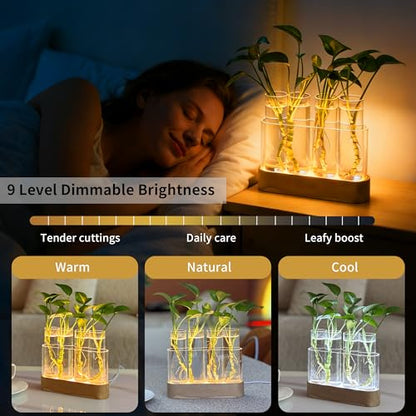 Plant Propagation Station with LED Grow Light, Wooden Stand & 4 Glass Tubes | For Hydroponic Plants, 3 Lighting Modes and 9 Brightness Levels; Desktop Plant Decor and Gift for Plant Lovers