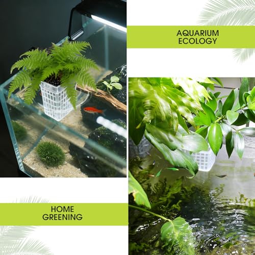 2-Pack Adjustable Aquarium Plant Holders with Hooks and Suction Cups | Adjustable Height and Thickness, Includes 2 Extension Hooks and 2 Suction Cups for Fish Tanks and Aquaponic Growing, Clear - color: Clear