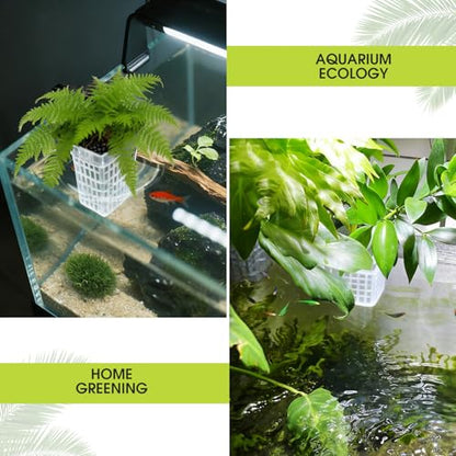 2-Pack Adjustable Aquarium Plant Holders with Hooks and Suction Cups | Adjustable Height and Thickness, Includes 2 Extension Hooks and 2 Suction Cups for Fish Tanks and Aquaponic Growing, Clear - color: Clear