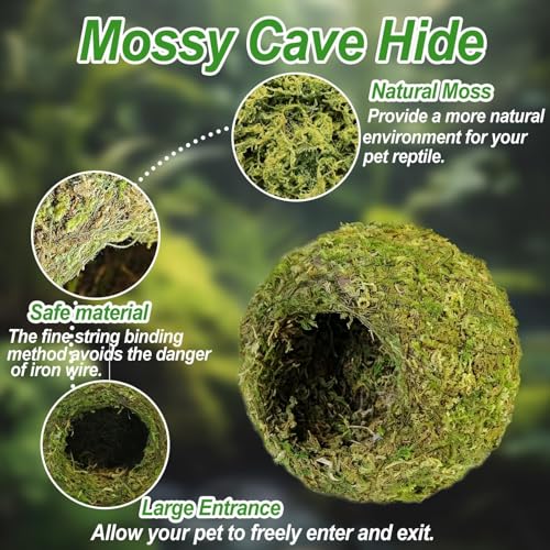 4pcs Crested Gecko Hide,Reptile Mossy Caves Hideout,Leopard Gecko Humid Hide,Natural Moss Cave Hiding Decor Tank Accessories for Reptiles, Amphibians,Invertebrates,Lizard,Frog