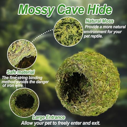 4pcs Crested Gecko Hide,Reptile Mossy Caves Hideout,Leopard Gecko Humid Hide,Natural Moss Cave Hiding Decor Tank Accessories for Reptiles, Amphibians,Invertebrates,Lizard,Frog