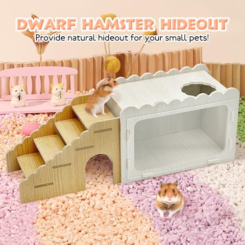 Fhiny Hamster Hideout Wooden Chamber with Climbing Ladder, Visible Hamster Digging Box with Acrylic Transparent Board Gerbil Platform Exploring House Habitat Decor for Dwarf Hamsters Gerbils Mice - size: 1-Chamber Digging Box with Ladder