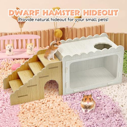 Fhiny Hamster Hideout Wooden Chamber with Climbing Ladder, Visible Hamster Digging Box with Acrylic Transparent Board Gerbil Platform Exploring House Habitat Decor for Dwarf Hamsters Gerbils Mice - size: 1-Chamber Digging Box with Ladder
