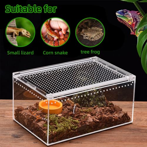 Small Acrylic Reptile Enclosure, No Assembly Small Reptile Breeding Box for Insect Tarantula Hermit Crab Jumping Spider (8x6X4 in) - size: 8x6X4 in