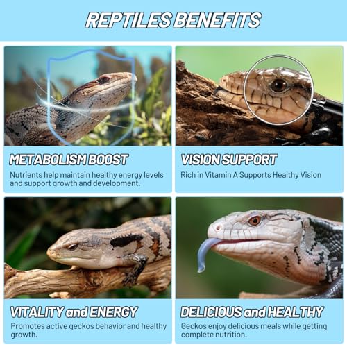 Crested Gecko Food Insect Puree, Dubia Paste Reptile Food Made with Fresh Insects Gecko Food Complete Diet 2.82oz