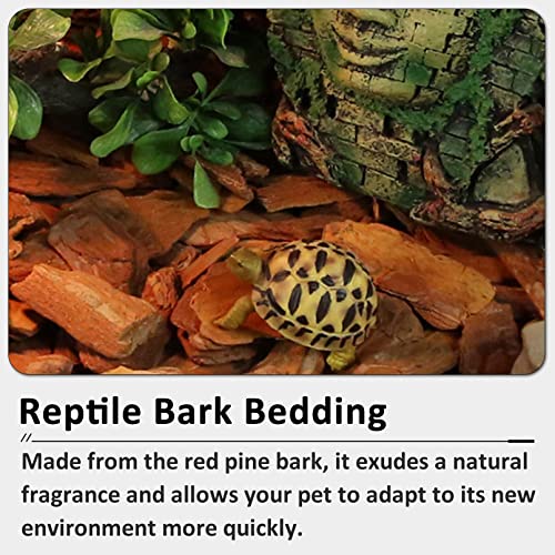 Hamiledyi Reptile Bark Bedding Tortoise Habitat Substrate Natural Terrarium Bark Wood Chips Tank Supplies for Snake Spiders Bearded Dragons Hermit Crabs Geckos - size: 1 Pcs-Large Reptile Bark Bedding