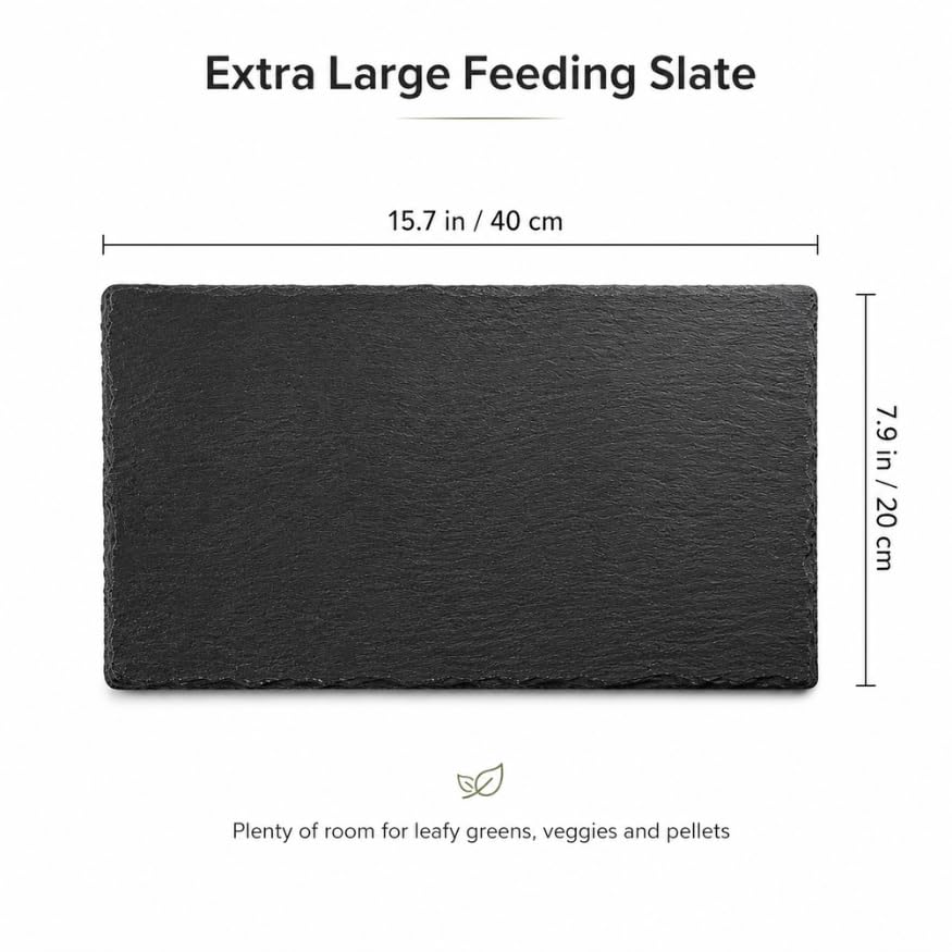 Extra Large Natural Slate Reptile Basking Platform, 15.7 x 7.9 in Rock Feeding Plate for Tortoise, Turtle & Bearded Dragon, Textured Food Dish for Natural Claw Filing, Reptile Habitat Decor