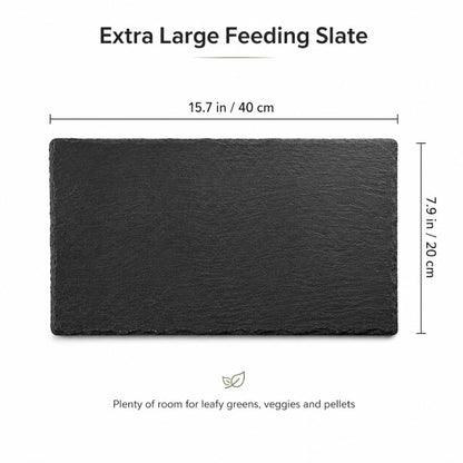 Extra Large Natural Slate Reptile Basking Platform, 15.7 x 7.9 in Rock Feeding Plate for Tortoise, Turtle & Bearded Dragon, Textured Food Dish for Natural Claw Filing, Reptile Habitat Decor