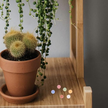 jojofuny Colorful Clay Pebbles and Small River Rocks for Indoor Plants Hydroponics 11-12mm Large Ceramic Balls Lightweight Growing Media for Succulent Planters and Terrarium Gardening