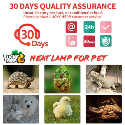 LUCKY HERP Reptile Heat Lamp - 100W Ceramic Heat Emitter Reptile Heat Lamp Bulbs (1 Pack), No Light Ceramic Heat Bulb, Heat Lamp for Reptiles Amphibian Chicken Pet Brooder Coop Lizard Turtle - color: Ceramic Heat Emitter, size: 100W 1-Pack